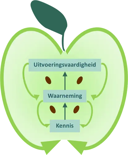 schrijfonderwijs
